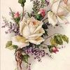 carolbetterton